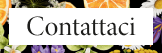 Contattaci